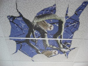 Flatbed printing on ceiling tiles