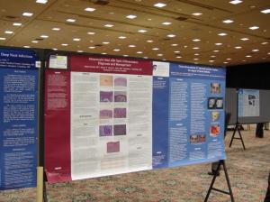 PowerPoint Poster