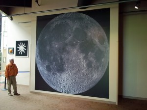 gray scale prints as museum wallpaper