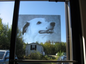 large format printing on clear cling material