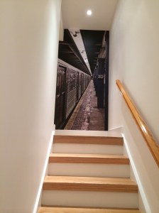 murals to add interest