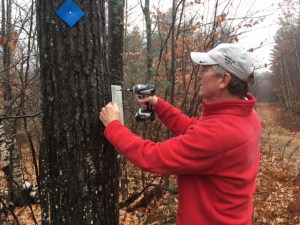 installing a hiking trail sign