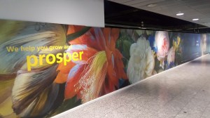 wall mural in a walkway