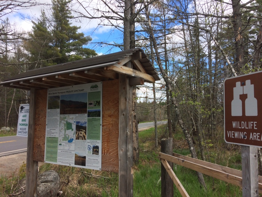 Hiking Trail Head Sign