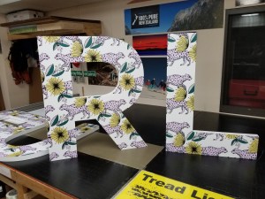 cutouts of gatorboard 