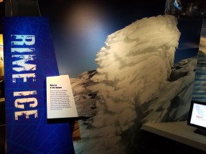 museum wall photo