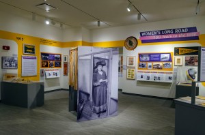 Museum Displays