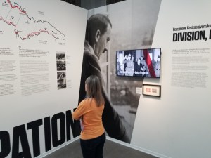 museum wall graphic